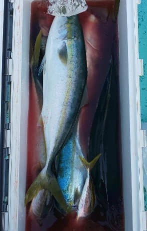 IMG_20201117_175700.jpg