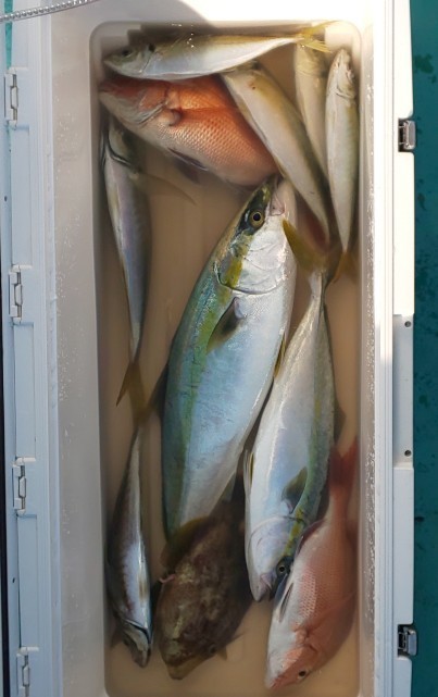 IMG_20201117_175633.jpg